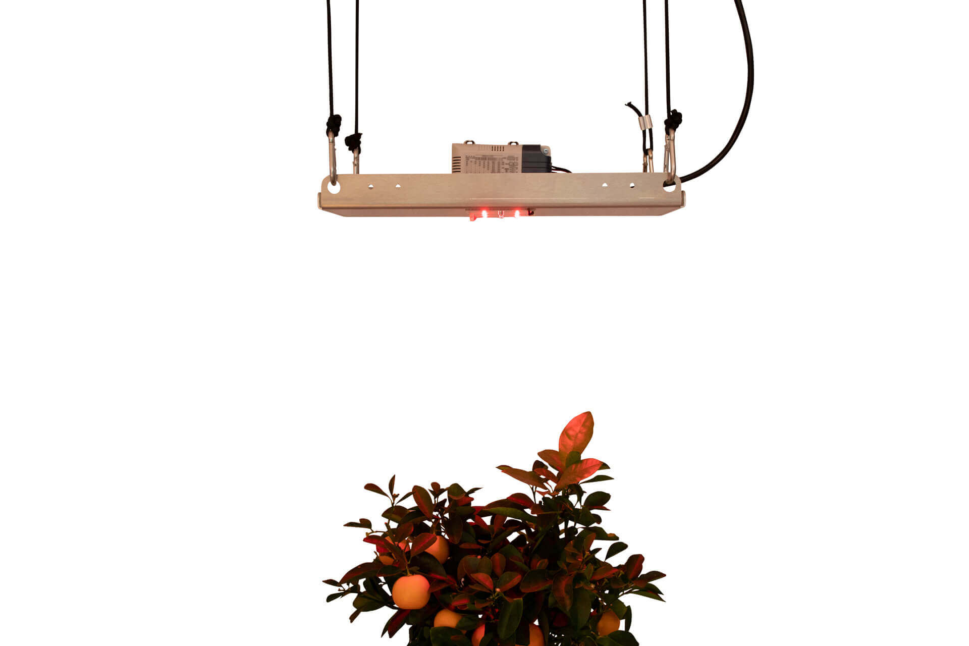 FarRed-Standalone-SMD-KIT-pro-emit-flowerOip4x5i8ZGwSS