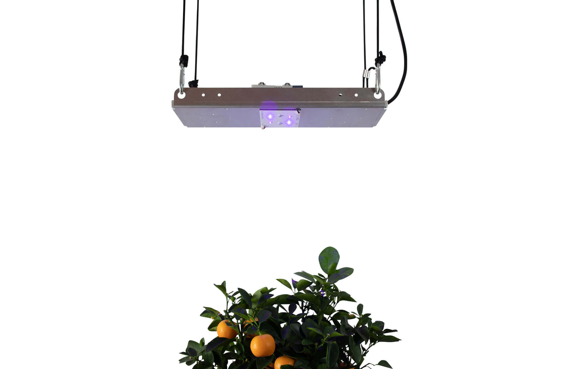 UV-Standalone-SMD-KIT-pro-emit-flower